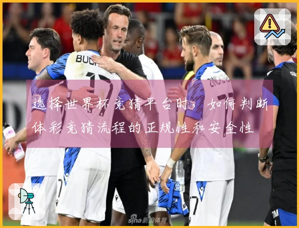 选择世界杯竞猜平台时，如何判断体彩竞猜流程的正规性和安全性