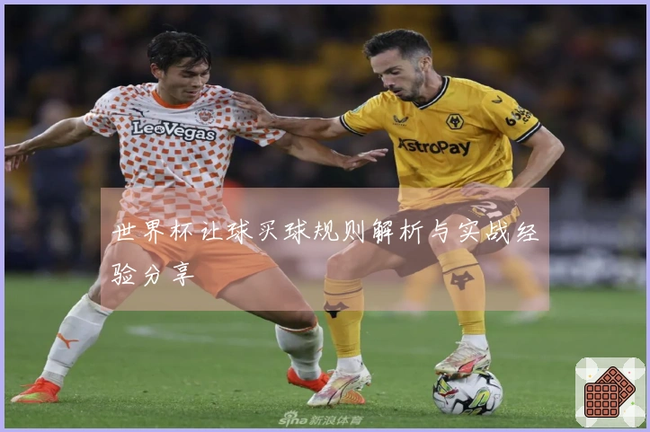 世界杯让球买球规则解析与实战经验分享